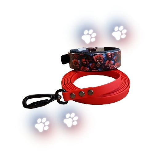 Rote Leine und Halsband mit Rosen in Biothane